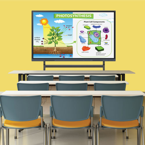 Boxlight ProColor 754UC 75 Inch 4K Interactive Flat Panel Display