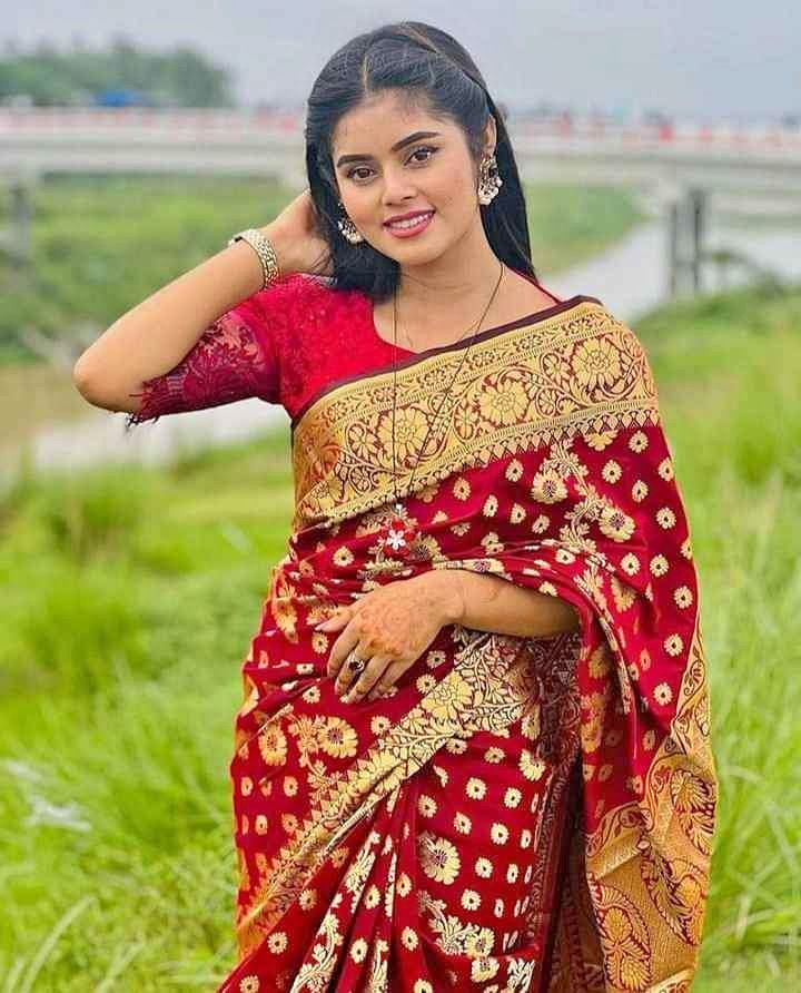 Silk Katan Saree