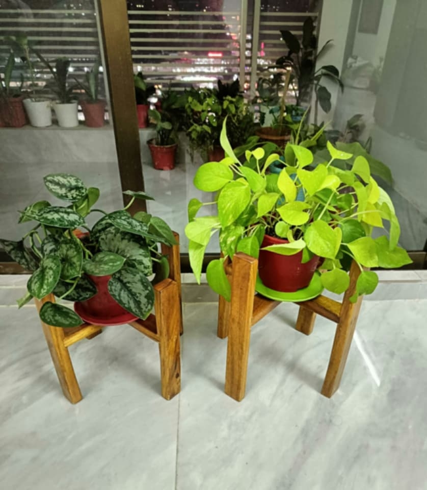 Wooden plant stand Height 12″, Width 10″