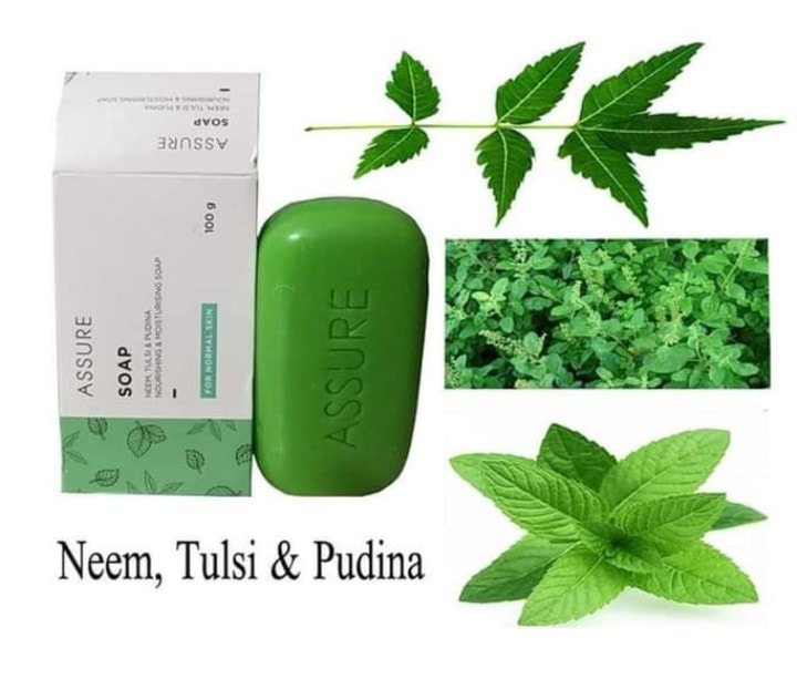 Assure Neem Pudina Tulsi Soap 100g (Indian)