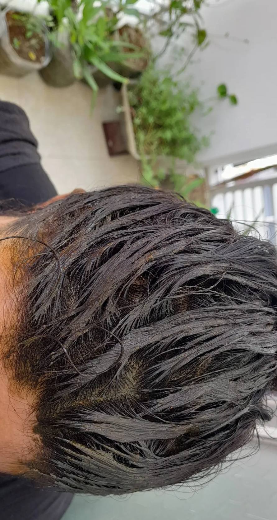 মেহেদী পাতার পাউডার
