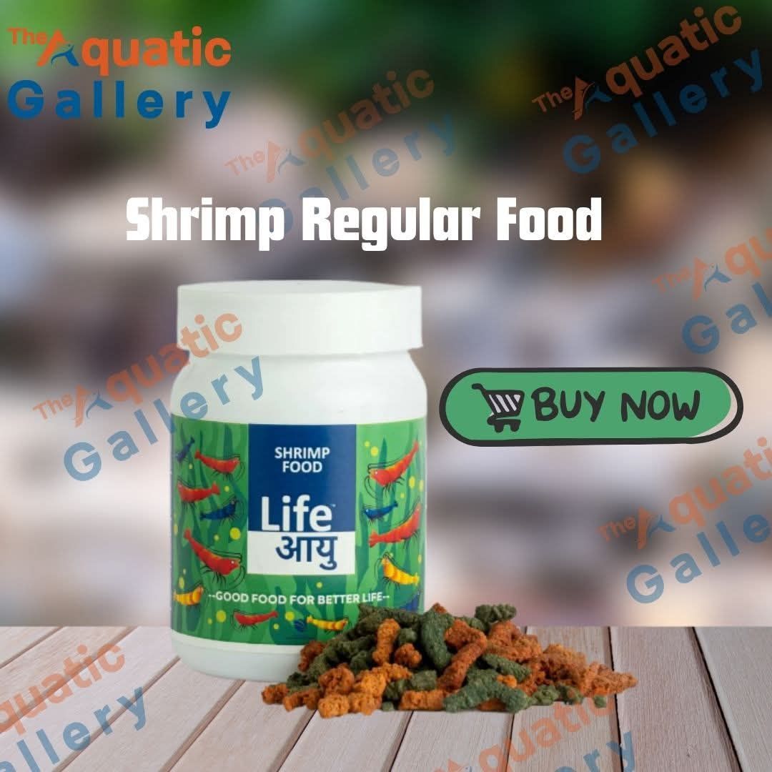 Life Aayu Shrimp Regular Food (30 gm)