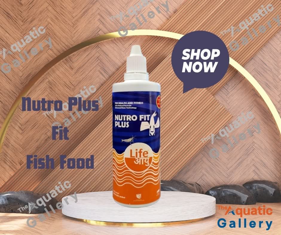 Life Aayu Nutro Fit Plus – 100 ml