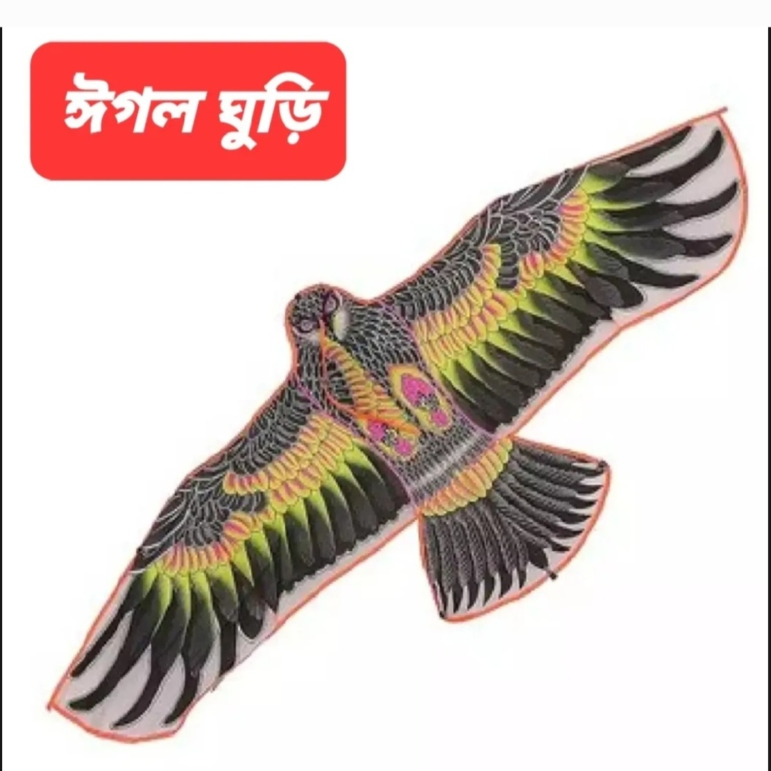 Eagle Kite/eagle ghuri Premium Quality Long Lasting Multicolor Big Size 72″/6 Feet-1 Piece Toys