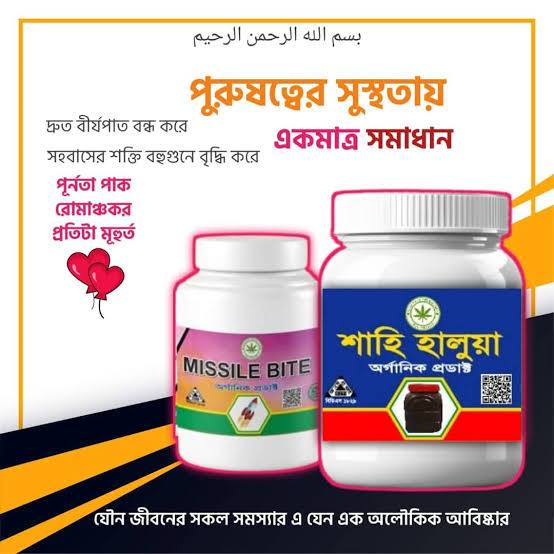 শাহি হালুয়া + মিসাইল বিট