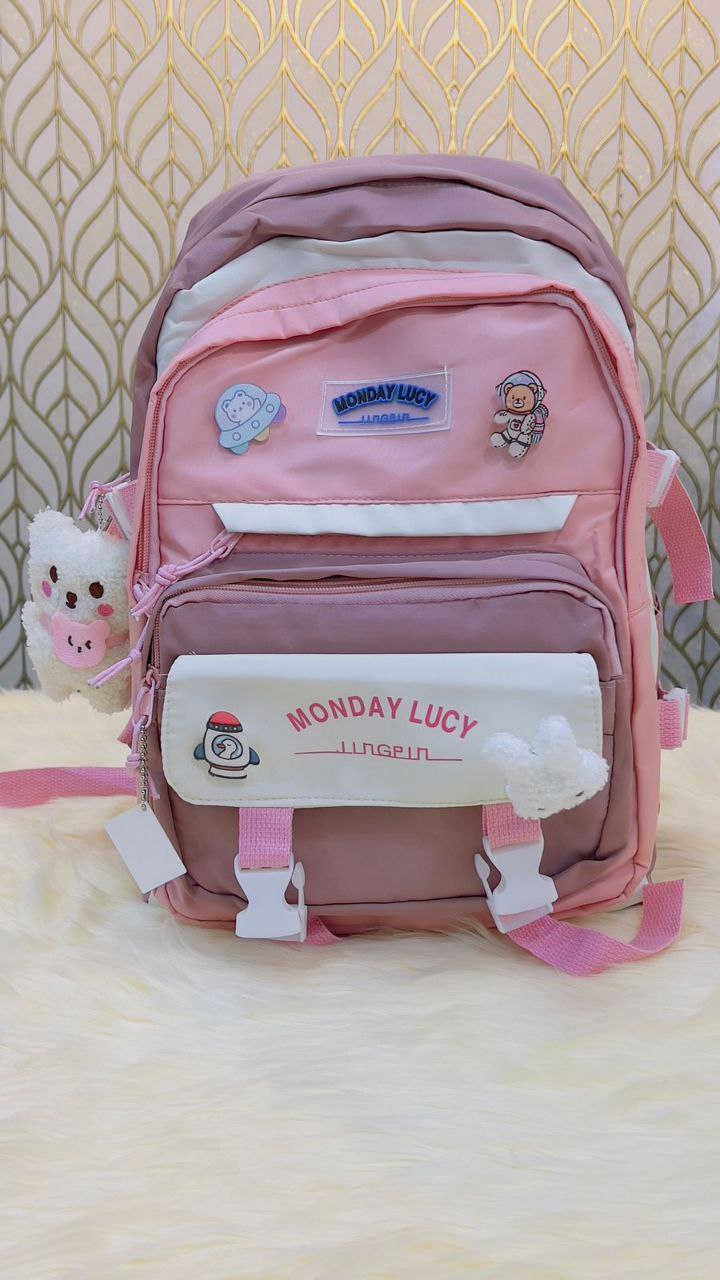 School bag /college bag