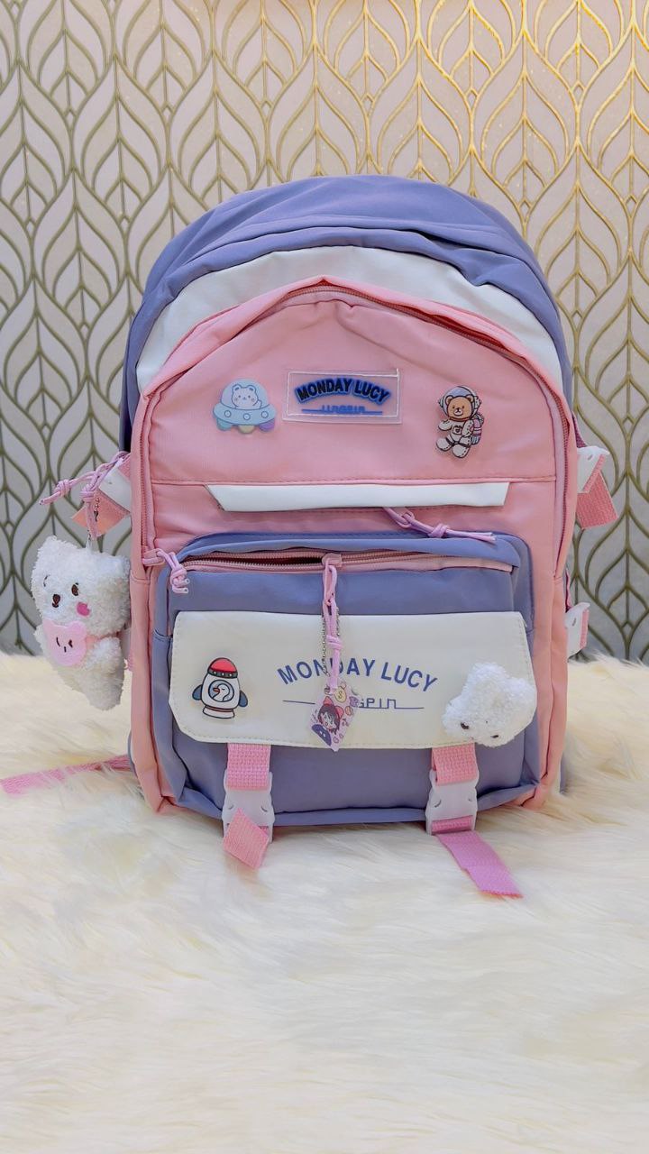 School bag /college bag