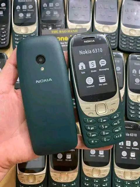 Nokia 6310