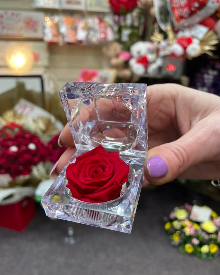 Red Everlasting Flower Acrylic Jewelry Box + Color Box