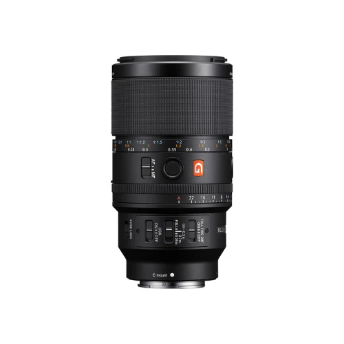 Sony FE 100mm f/2.8 Macro GM Lens