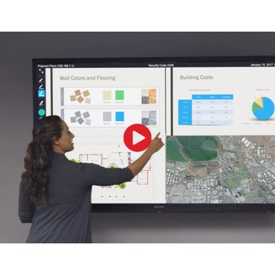 Polycom Pano