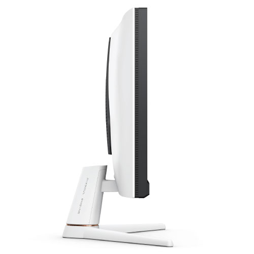 BenQ EX251 MOBIUZ 25 Inch 220Hz FHD IPS Gaming Monitor