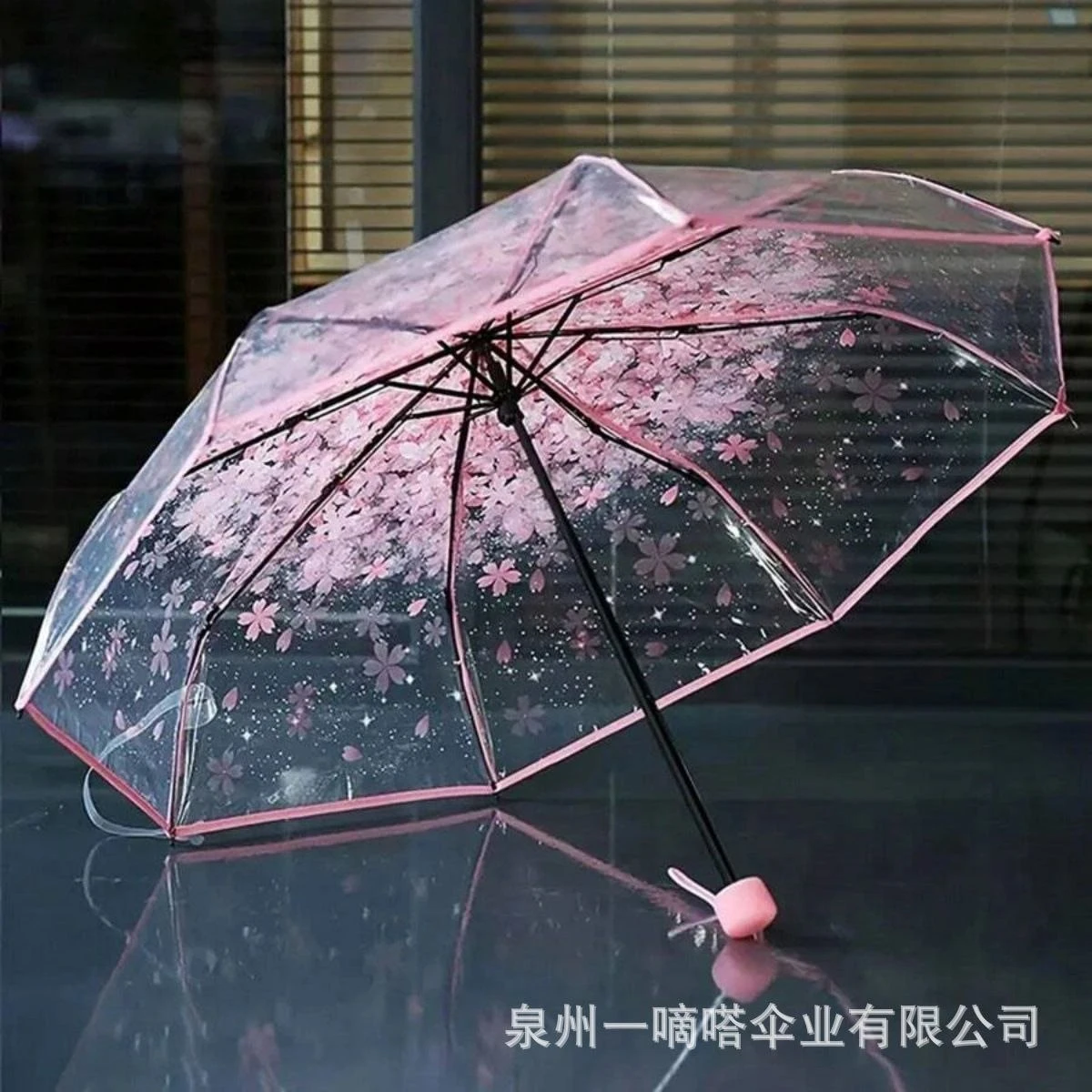 Transparent Umbrella