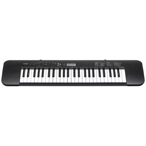 CASIO CTK-240 Electronic Musical Instrument (STANDARD) KS21