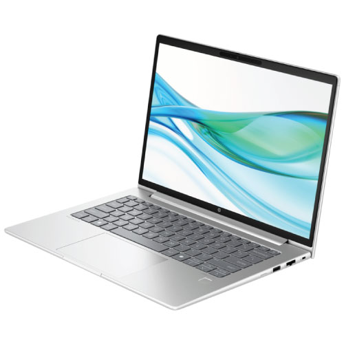 HP ProBook 440 G11 Intel Core Ultra5 125U 8GB RAM 512GB SSD 14 inch FHD Silver Laptop