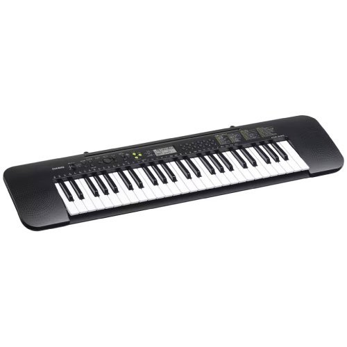 CASIO CTK-240 Electronic Musical Instrument (STANDARD) KS21