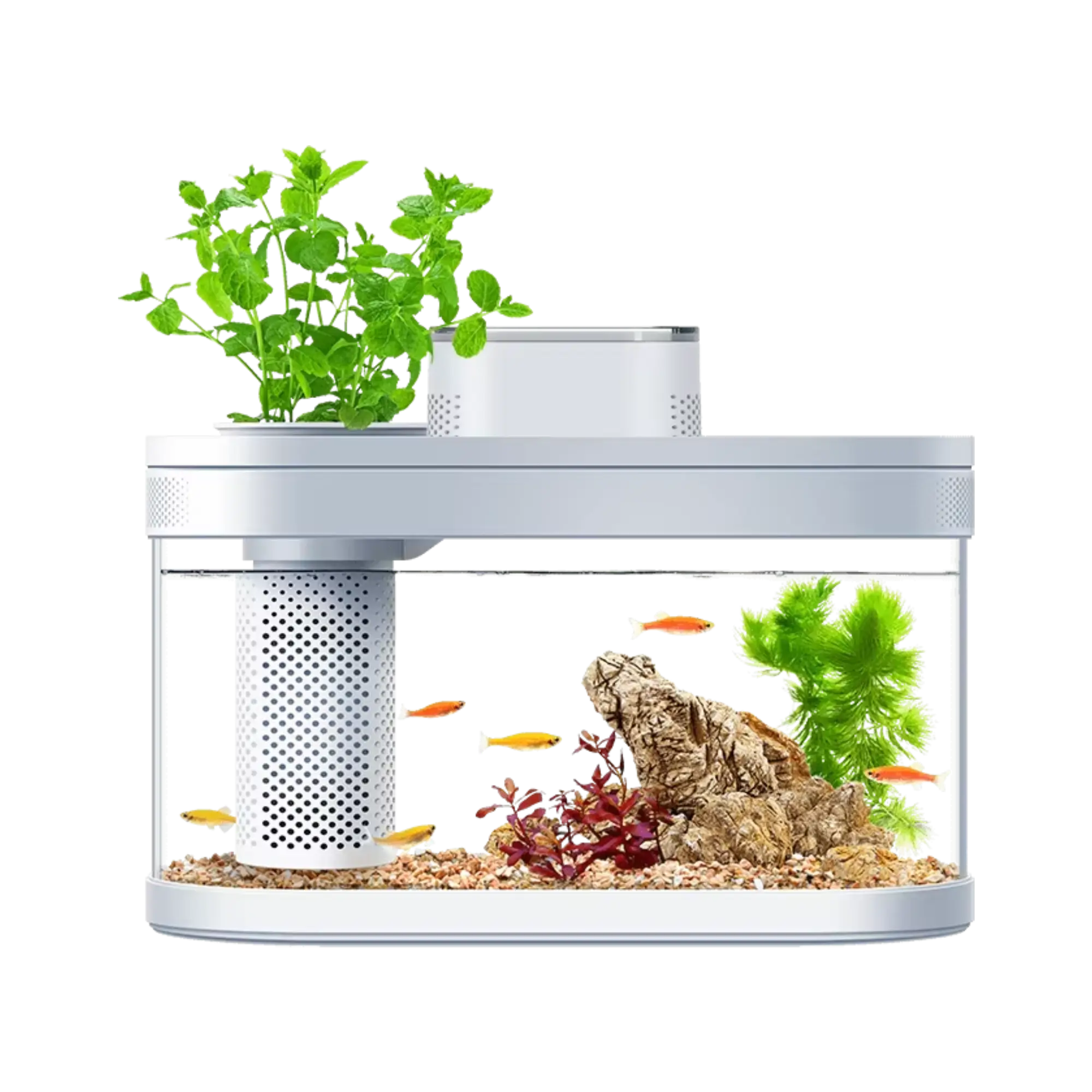 Xiaomi Geometry Ecosystem Small Water Garden Fish Tank Transparent Aquarium
