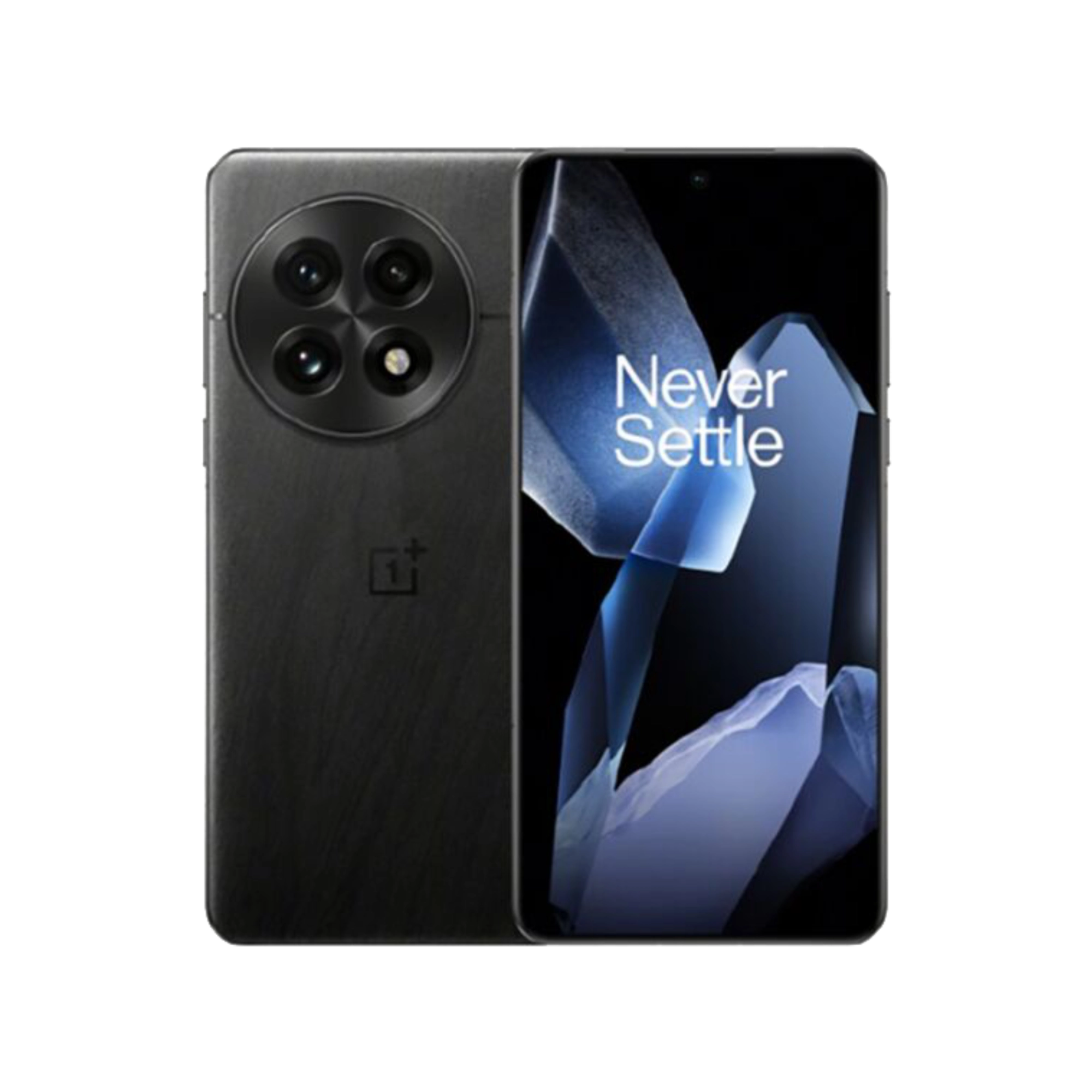 OnePlus 13 OnePlus