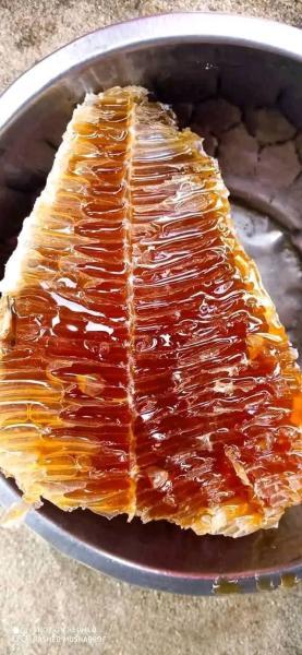 প্রিমিয়াম জট মধু (Pure Jat Madhu) - ৫০০ গ্রাম (Half Kg) | ১০০% প্রাকৃতিক ও হাতে কাটা মধু