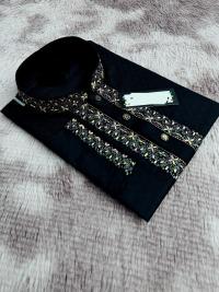 Sequence Embroidery Panjabi