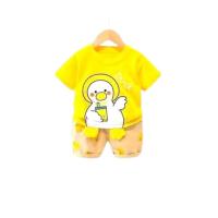 Baby Tshirt and Pant Set