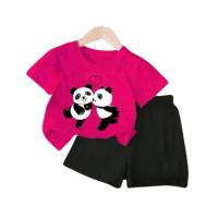 Baby Tshirt and Pant Set