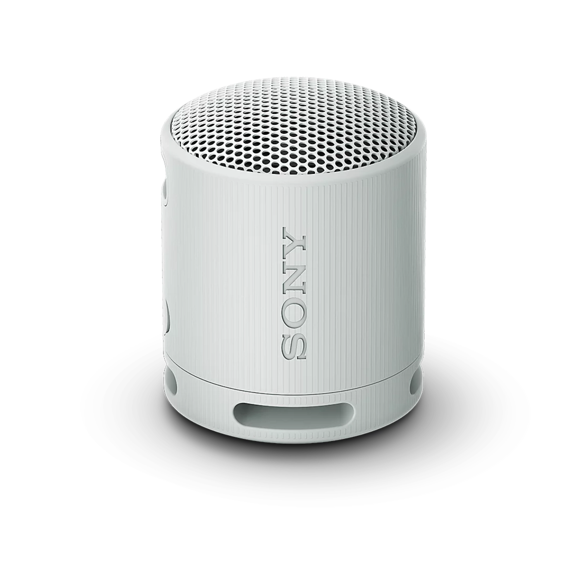 Sony XB100 Portable Wireless Speaker
