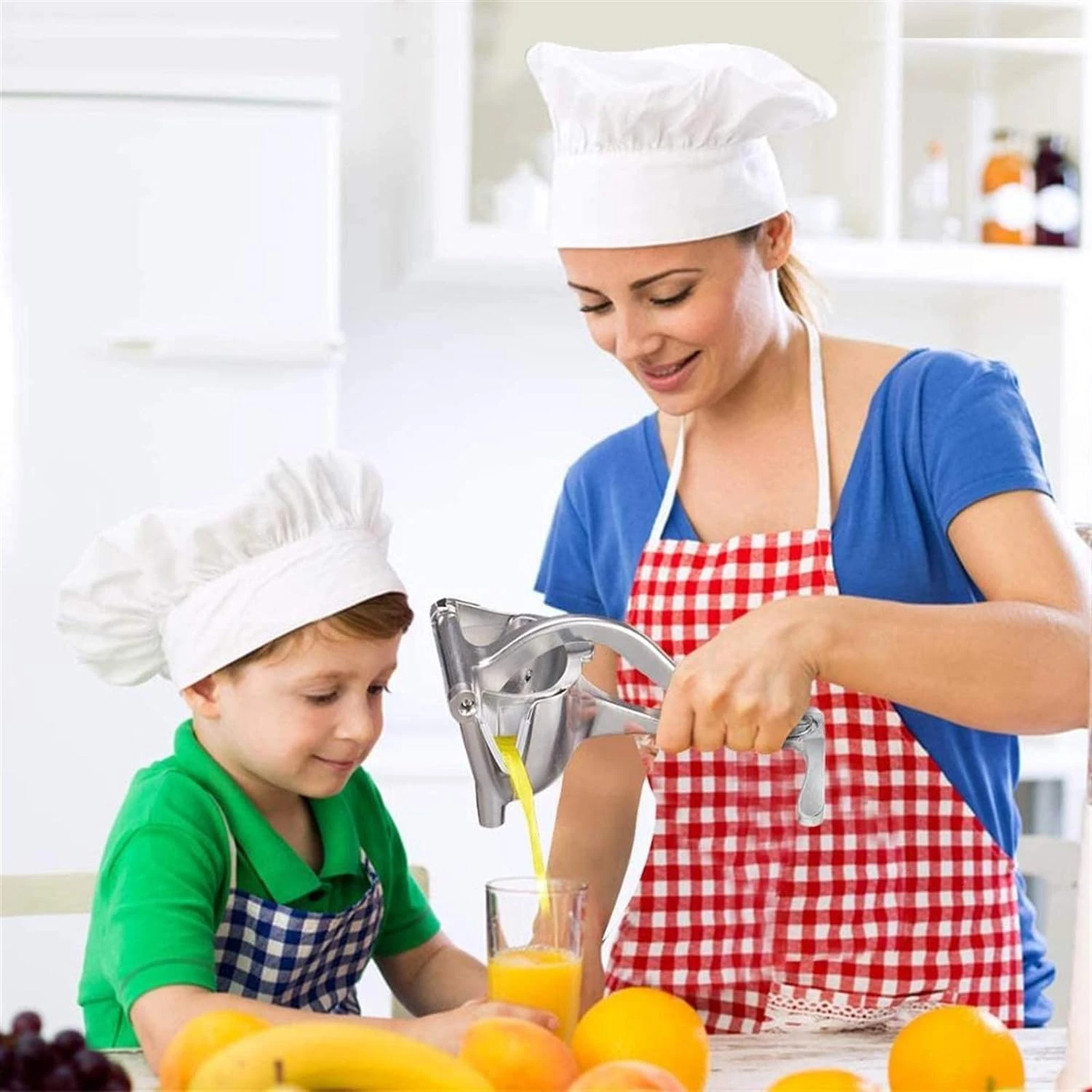 Aluminium Steel Heavy Duty Handhold Press Fruit Juicer, Fruit Manual & Instant juicer