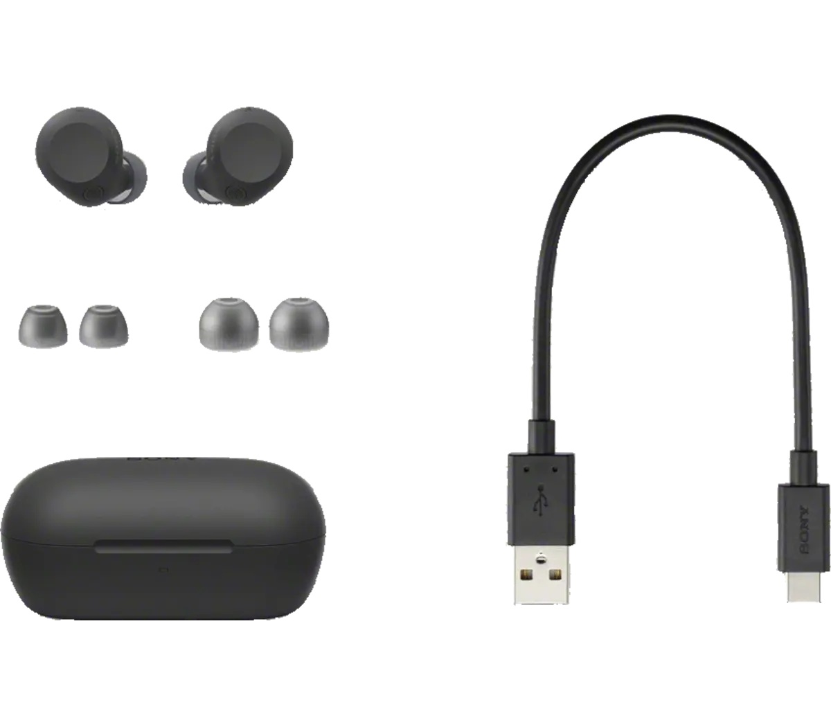 Sony True Wireless Noise Cancelling Earbuds, WF-C710N