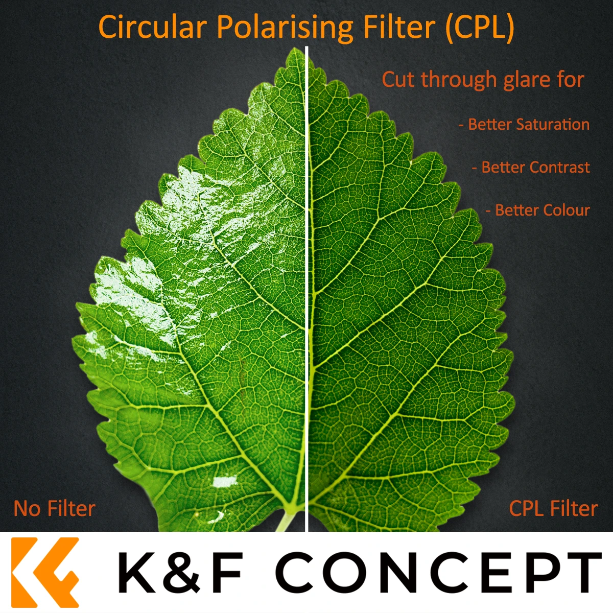 K&F 62mm CPL Filter | KF01.1438