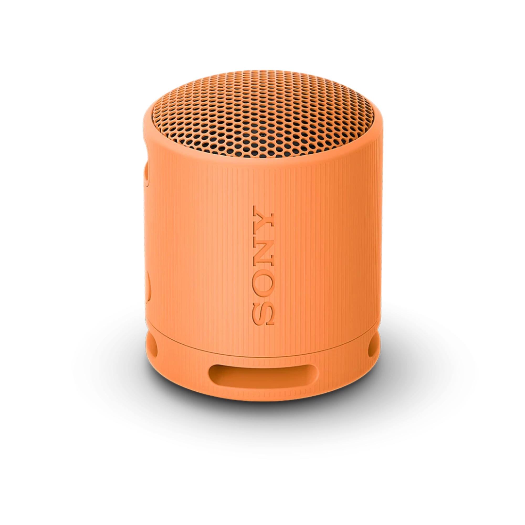 Sony XB100 Portable Wireless Speaker