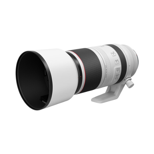 Canon RF 100-500mm f/4.5-7.1 L IS USM Lens