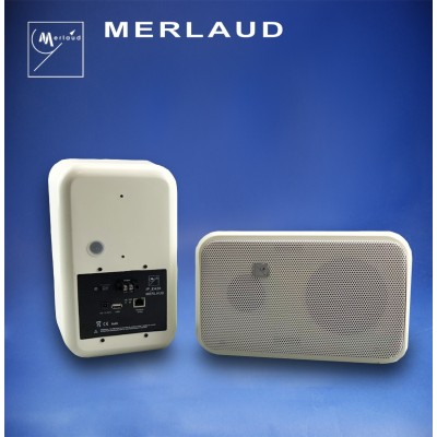 IP POE Box Speaker MIP_EA20