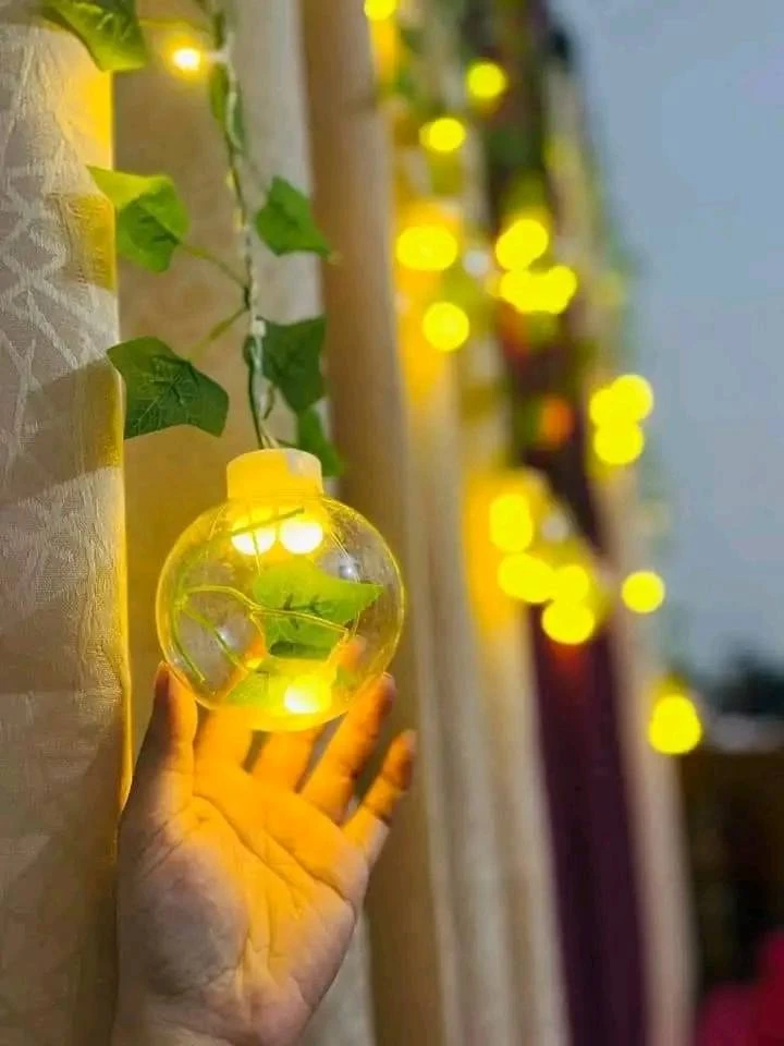 Wish Ball Leaf Curtain Light - 10 feet, 12 Wish Ball