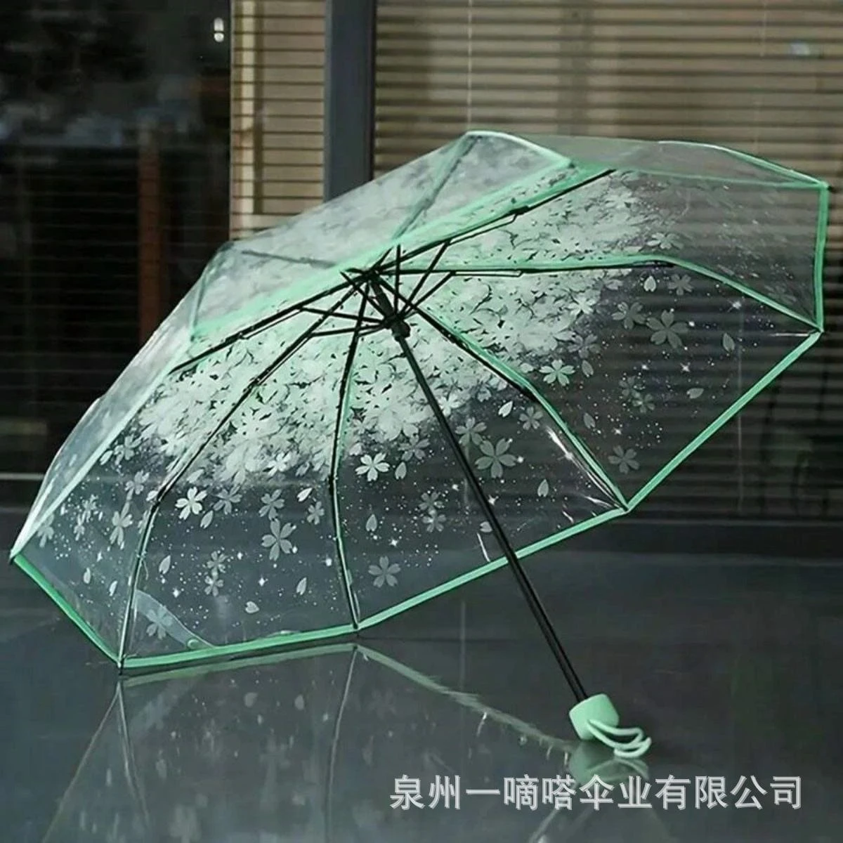 Transparent Umbrella